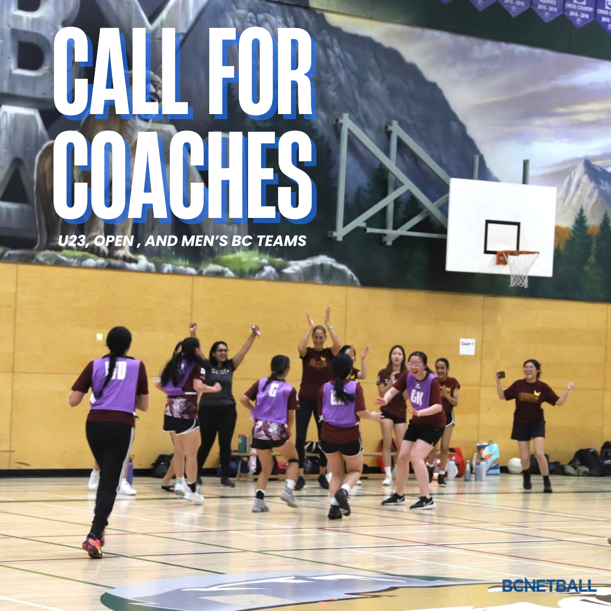 BC Netball - Call for Coaches 2026
